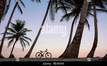 Sunset views of palm trees and bicycle on the beach of San Andrés, Colombia. Holiday / travel concept. Oct 2018 Stock Photo