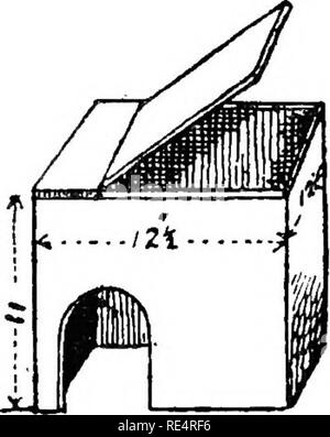 . The pigeon book. Pigeons. 14 THE PIGEON BOOK I like roomy and comfortable nest-boxes: 2ft. wide, i8in. high, and i8in. deep is a nice size, with a shelf at the back gin. wide, in order that sitting birds can go to nest on this shelf with a second pair of eggs, whilst the youngsters from the prior nest are on the floor of the nest-box; for most varieties of pigeons are prolific breeders, and will often lay a second pair of eggs at the time when the young are from three to three-and-a-half weeks old. Here is shown a very simple nest-box, just a square box with a hole in it, and a lid that allo Stock Photo