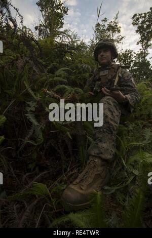 A U.S. Marine with Kilo Company, 3d Battalion, 3d Marine Regiment with the unit deployment program, post as security during a division squad competition at Landing Zone Cardinal, Camp Schwab, Okinawa, Japan, Nov. 30, 2016. Marines participate in the annual competition to test their endurance, occupational intelligence and cohesion. Stock Photo