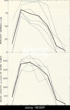 . Cronartium comandrae in the Rocky Mountain States. Cronartium comandrae Rocky Mountains Region; Fungi Rocky Mountains Region. 100. 3 8 13 TEMPERATURE 18 23 (Degrees Celsius) Figure 4.-Germination of aeciospores after 24 hours' incubation at several temper- atures. The darker lines are means of the individual samples. An exploratory test also was conducted to determine how quickly aeciospores germinate and germ tubes grow. Methods used to collect and prepare spores were similar to those described above, but only one collection (Cache National Forest) was tested. Germination of spore groups wa Stock Photo