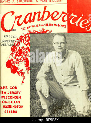. Cranberries; : the national cranberry magazine. Cranberries. ERVINC A $40,000,000 A YEAR INUUblKY. Q4PE COD JEW JERSEY WISCONSIN OREGON WASHINGTON CANADA R. STAXVVOOD BRIGfJS, on his bog In Duxlniry, Mass. Cranberries Photo 40 Cents APRIL, 1965. Please note that these images are extracted from scanned page images that may have been digitally enhanced for readability - coloration and appearance of these illustrations may not perfectly resemble the original work.. Portland, CT [etc. ] : Taylor Pub. Co. [etc. ] Stock Photo