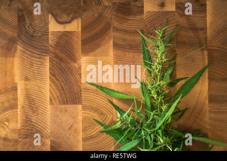 Macro photos of marijuana plant with leaves and buds on wooden background. The cannabis plant close up view. Plant of marijuana medical use with a hig Stock Photo