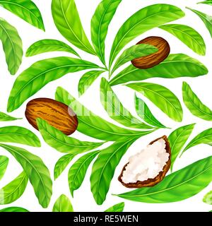 Shea nuts with leaves in vector pattern. Stock Vector