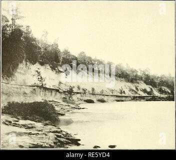. Cretaceous deposits of the eastern Gulf region and species of Exogyra from the eastern Gulf region and the Carolinas. Geology, Stratigraphic; Geology; Bivalves, Fossil. U. S. GEOLOGICAL SURVEY PROFESSIONAL PAPER 81 PLATE III. A. TYPICAL BEDS OF THE TOMBIGBEE SAND MEMBER OF THE EUTAW FORMATION, PLYMOUTH BLUFF, TOMBIGBEE RIVER, LOWNDES COUNTY, MISS.. Please note that these images are extracted from scanned page images that may have been digitally enhanced for readability - coloration and appearance of these illustrations may not perfectly resemble the original work.. Stephenson, Lloyd William, Stock Photo
