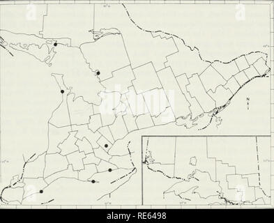 . The earthworms (lumbricidae and sparganophilidae) of Ontario. Lumbricidae; Worms. Range A native of North America. S. eiseni is known also from Central America and has been introduced into England and France (Brinkhurst and Jamieson, 1971; Gates, 1972c). North American Distribution Ontario (Moore. 1906), Alabama (Gales. 1967). Connecticut (Reynolds, 1973c), Florida (Smith. 18%). Illinois (Smith. IS95). Indiana (Heimburger, 1915). Iowa (Hague. 1923), Louisiana (Harman. 1965), Maryland (Reynolds, ^-Xb). Massachusetts (Reynolds, 1977). Michigan (Moore, 1906), New Jersej (Davies, 1954). New, Yo Stock Photo