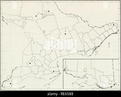 . The earthworms (lumbricidae and sparganophilidae) of Ontario. Lumbricidae; Worms. Fig. 23 The known Ontario distribution of Eiseniafoetida. 1972c). Florida (Harman. 1955), Georgia (Harman. 1955). Hawaii (Michaelsen, 1900b). Illinois (Smith. 1928). Indiana (Heimburger. 1915), Iowa (Harman. 1955), Kentucky (Giavannoli, 1933), Louisiana (Harman, 1952). Maine (Gates, 1966), Maryland (Reynolds, 1974b), Massachusetts (Rey- nolds. 1977). Michigan (Smith and Green. 1916). Minnesota (Mickel, 1925), Mississippi (Harman, 1955), Missouri (Olson, 1936), Nebraska (Swartz, 1929), New Hampshire (Gates, 1972 Stock Photo