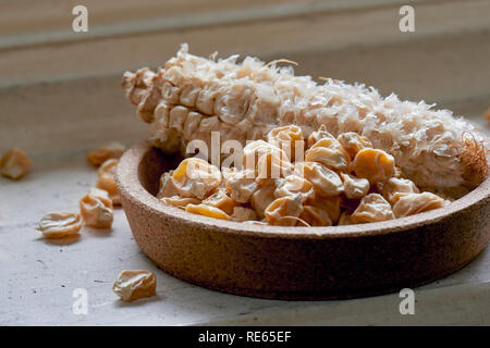 Dried sweet corn seed off the cob in a cork bowl ready for spring planting. Stock Photo