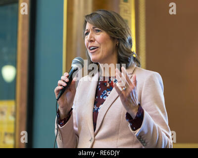Des Moines, Iowa, USA. 19th January, 2019. Congresswoman Cindy Axne speaks at the 3rd annual Womenâ€™s March held inside the state capitol in Des Moines on Saturday. Several hundred people participated in the event. Credit: Keith Turrill/Alamy Live News Stock Photo