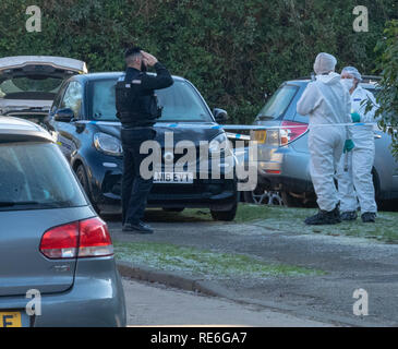 Essex, UK.  20th January 2019  Essex police are investigating an alleged stabbing at a house in Doddinghurst Brentwood Essex.  A 20 year old man has been arrested on suspicion of GBH Credit Ian Davidson/Alamy Live News Stock Photo