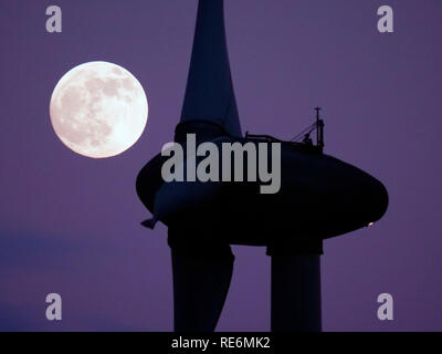 Peak District, UK. 20th Jan, 2019. Full Blood Wolf Super Moon rising over wind turbines at Griffe Grange near Wirksworth, Derbyshire Dales, Peak District, UK Credit: Doug Blane/Alamy Live News Stock Photo