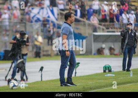 PR - Curitiba - 20/01/2019 - Paranaense 2019, Paran x Oper - Dado Cavalcanti Parana Clube technician during match against the Operario in the Vila Capanema stadium for the state championship 2019. Photo: Gabriel Machado / AGIF Stock Photo