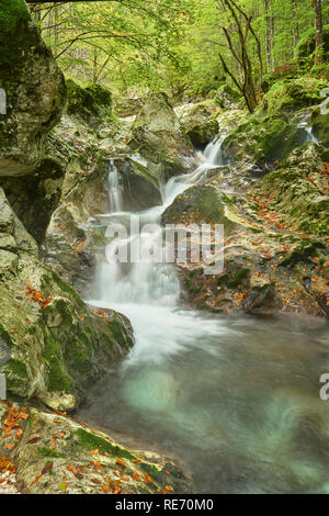 Sunik Water Grove, Lepena Valley, near Soca, Primorska, Slovenia Stock Photo