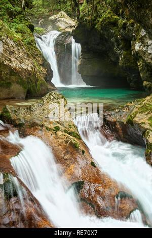 Sunik Water Grove, Lepena Valley, near Soca, Primorska, Slovenia Stock Photo