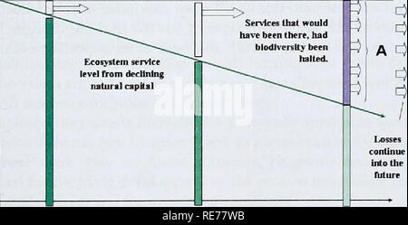 . The Cost of Policy Inaction: The case of not meeting the 2010 biodiversity target. approach is that the gaps do not dominate the results. In the lower estimation scenario, this transfer was not done, and blanks were left. The value of this approach is that it can avoid concern that the transfer is a bit too pragmatic to be justifiable in a rigourous context. As there are competing principles - getting a full picture and having a robust approach - the two appoaches were taken and integrated into the scenarios. Note, ultimately the areas where gaps existed and techniques needed to fill the gap Stock Photo