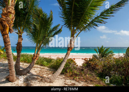 Pink Sand Beach. Dunmore Town, Harbour Island, Eleuthera. Bahamas Stock Photo