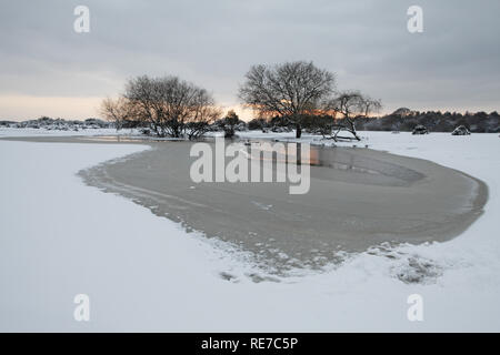 Janesmoor Pond at sunset in winter Stoney Cross New Forest National Park Hampshire England Stock Photo