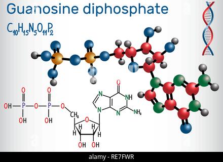 Guanosine diphosphate (GDP) molecule. Structural chemical formula and ...