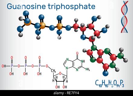 guanine molecular chemical structural formula. model of nucleobases ...