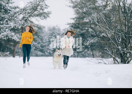 Two girls are running on a snowy forest road with a dog Alaskan Malamute in winter. Stock Photo