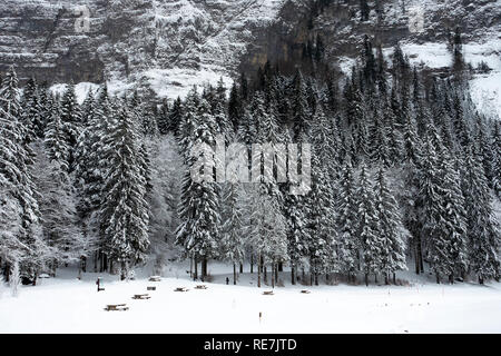 The Frozen Lac de Montriond with Steep Sided Hillside with Snow Covered Pine Forest Argent Portes du Soleil Haute Savoie France Stock Photo