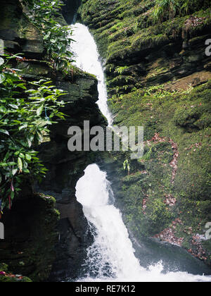 St Nectans Glen, Cornwall UK. Stock Photo