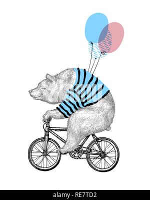 Bear Ride Bicycle Balloon Vector Illustration. Vintage Mascot Cute Grizzly Cycle Bike Isolated on White. Happy Birthday Animal Character Black Sketch. Flat Outline Teddy Grunge Draw Stock Vector
