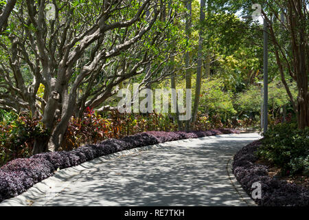 A pathway in Roma Street Parkland, Brisbane, Queensland, Australia Stock Photo