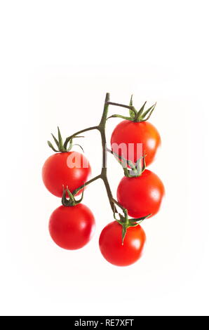 Red cherry tomatoes on stem isolated against white background Stock Photo