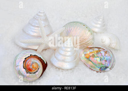 Seashell collection with mother of pearls shells on course sea salt forming a background. Stock Photo