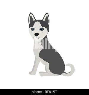 Cute Siberian Husky Purebred sit front view dog, vector illustration. Stock Vector