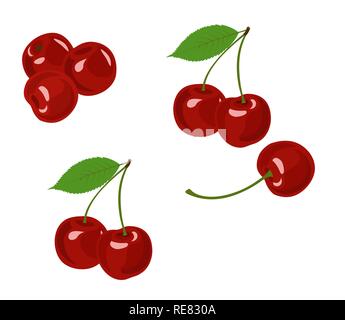 Cherry isolated vector illustration. Cherry collection on white background. Stock Vector