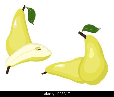 Pears vector illustration. Whole pear and a half conference pear fruit on white background. Stock Vector