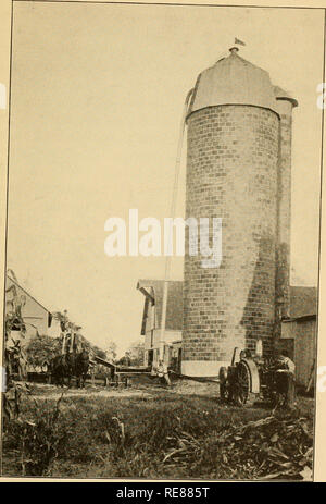. Corn book for young folk. Corn. Fig. 185. Filling the Silo. Please note that these images are extracted from scanned page images that may have been digitally enhanced for readability - coloration and appearance of these illustrations may not perfectly resemble the original work.. Williams, Charles Burgess, 1871-1947; Hill, Daniel Harvey, 1859-1924. Boston, Ginn and Company Stock Photo