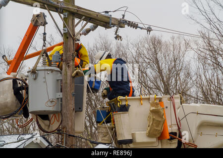 Crews work to repair power lines after a tree fell on them as Hurricane ...