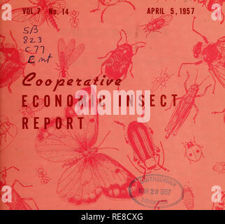 . Cooperative economic insect report. Beneficial insects; Insect pests. . Please note that these images are extracted from scanned page images that may have been digitally enhanced for readability - coloration and appearance of these illustrations may not perfectly resemble the original work.. United States. Animal and Plant Health Service. Plant Protection and Quarantine Programs; United States. Bureau of Entomology and Plant Quarantine; United States. Plant Pest Control Division. Hyattsville, MD. [etc. ] Plant Protection and Quarantine Programs Animal and Plant Health Service Stock Photo