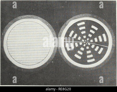 . Cooperative economic insect report; survey methods. Entomological surveys; Insect pests United States. Figure 5. Equipment used for making counts. The tallies are mounted on the table top and manipulated by pressing, with the knees, levers under the table which are connected to the tally levers by strings.. Figure 6. Holding board for easy manipulation of glass discs containing specimens. Left, parallel areas for inspection in case of light infestation. Right, white areas for inspection in case of heavy infestation. Plate 3. Please note that these images are extracted from scanned page image Stock Photo