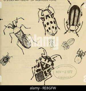 . Cooperative economic insect report. Beneficial insects; Insect pests. VOL. 22 No. 43 S3 C 77 E^t October 27,1972 Cooperative Economic Insect Report Issued by PLANT PROTECTION AND QUARANTINE PROGRAMS ANIMAL AND PLANT HEALTH INSPECTION SERVICE U.S.DEPARTMENT OF AGRICULTURE. Please note that these images are extracted from scanned page images that may have been digitally enhanced for readability - coloration and appearance of these illustrations may not perfectly resemble the original work.. United States. Animal and Plant Health Service. Plant Protection and Quarantine Programs; United States. Stock Photo