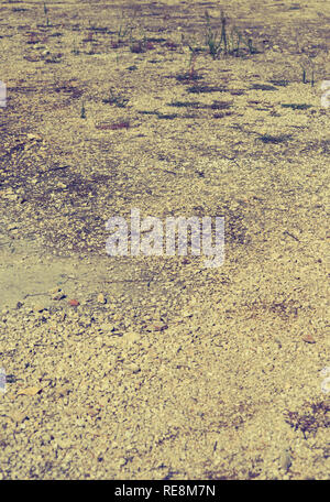 Natural retro style background. Useful as the cover of an old book. Vertical view Stock Photo