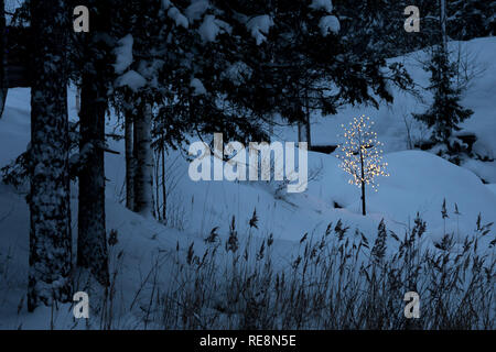 This Illuminated Tree stands out brightly against the other dark trees in this winter scene. Stock Photo