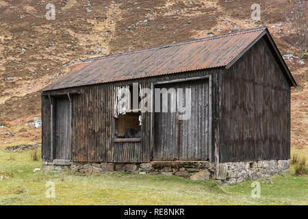 Derelict shed being used for agricultural purposes in Glen Cannich, Highland Region, Scotland Stock Photo