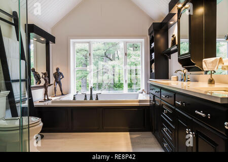 Black Lacquered Cabinets With Corian Countertop In Ensuite On