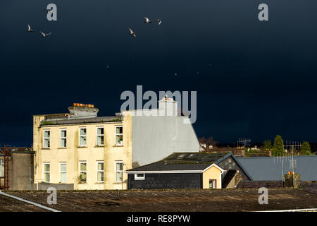 Brightly lit building against dramatic stormy dark sky and birds as urban juxtaposition contrast, Killarney, Ireland Stock Photo