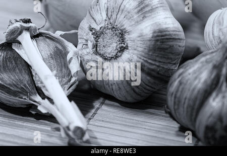 Garlic (Latin Állium satívum) - perennial herb; Species of the genus Onion of the family Amaryllis (Amaryllidaceae) of the subfamily Onion (Allioideae Stock Photo