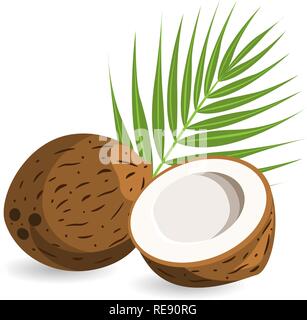 Coconut with half and palm leaves. Isolated on white background. Vector illustration. EPS10. Stock Vector