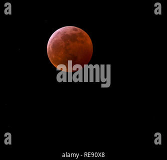 Wolf Blood Moon Stock Photo