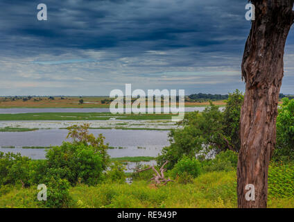 Landscape picture of the Chobe River at the Chobe National Park in Botsuana during summer Stock Photo
