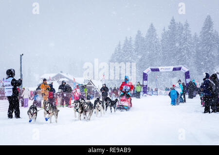 The start of the La Grande Odyssée Savoie Mont Blanc sled dog race, Praz de Lys Sommand, Auvergne-Rhône-Alpes, France Stock Photo
