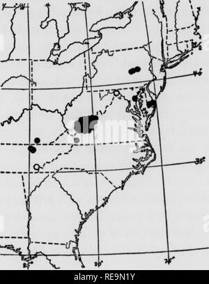 . Contributions from the Botanical Laboratory, vol. 11. Botany; Botany. Fig 1. Supposed distribution of Gaylussacia brachycera in 1918.1. &quot;Warm Springs,&quot; Michaux about 1790 = &quot;Near Winchester,&quot; 1803; presumably Berkeley Sprmgs, Mor- gan County, West Virginia. 2. &quot;Krien Preyer,&quot; Kinn, 1800; = Greenbrier VaUey east of Lewisburg, Greenbrier County, West Virginia. 3. Sweet Sprmgs, Pursh, 1805, m Monroe County, West Virginia. 4. New Bloomfield, Perry County Peonsylvama, Baird, 1845. 5. Millsboro, Sussex County, Delaware, Commons, 1876. 6. I'amvuie, Polk County, Tenness Stock Photo