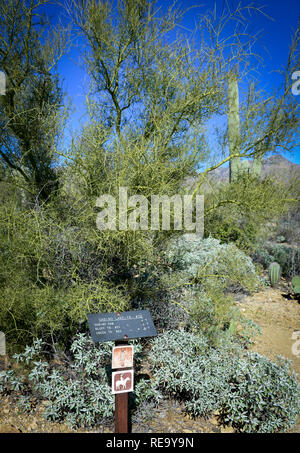 A signpost with directions and distance for desert hiking trails in the Sabino Caynon Recreational Area in the Coronado National Forest near Tucson, A Stock Photo