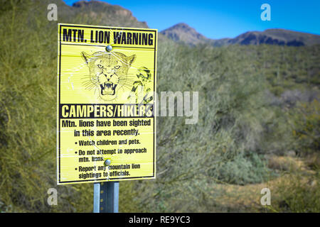 A Mountain Lion Warning sign posted on a hiking trail in the Sabino Canyon Recreation Area of the Coronado national Forest near Tucson, AZ Stock Photo